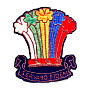 Old Boy's badge2 1430x1489 - (526787 bytes)